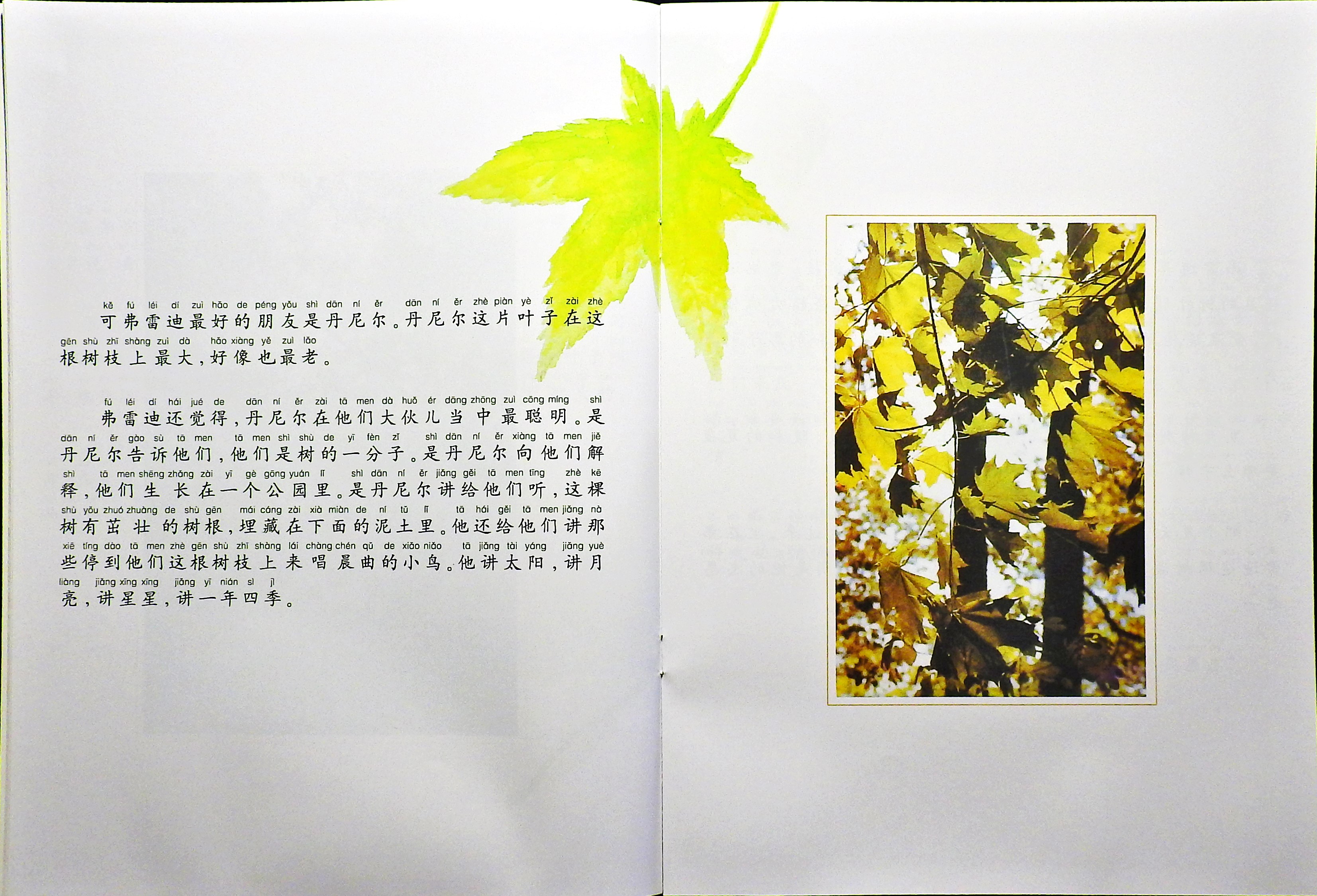 一片叶子落下来 (07),绘本,绘本故事,绘本阅读,故事书,童书,图画书,课外阅读